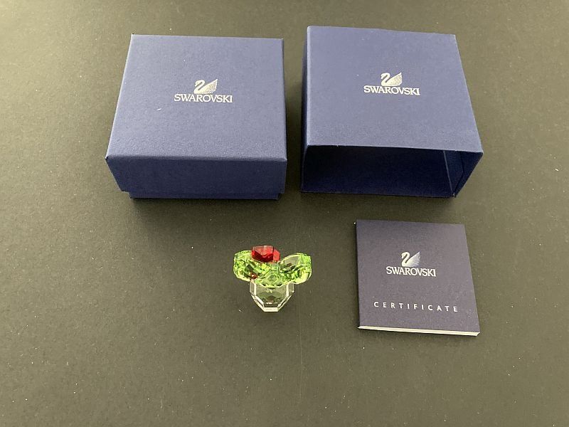 Swarovski Statuette: cactus 853406 – Nuovo e nell'imballaggio originale da Airolo venduto da Hmagnum