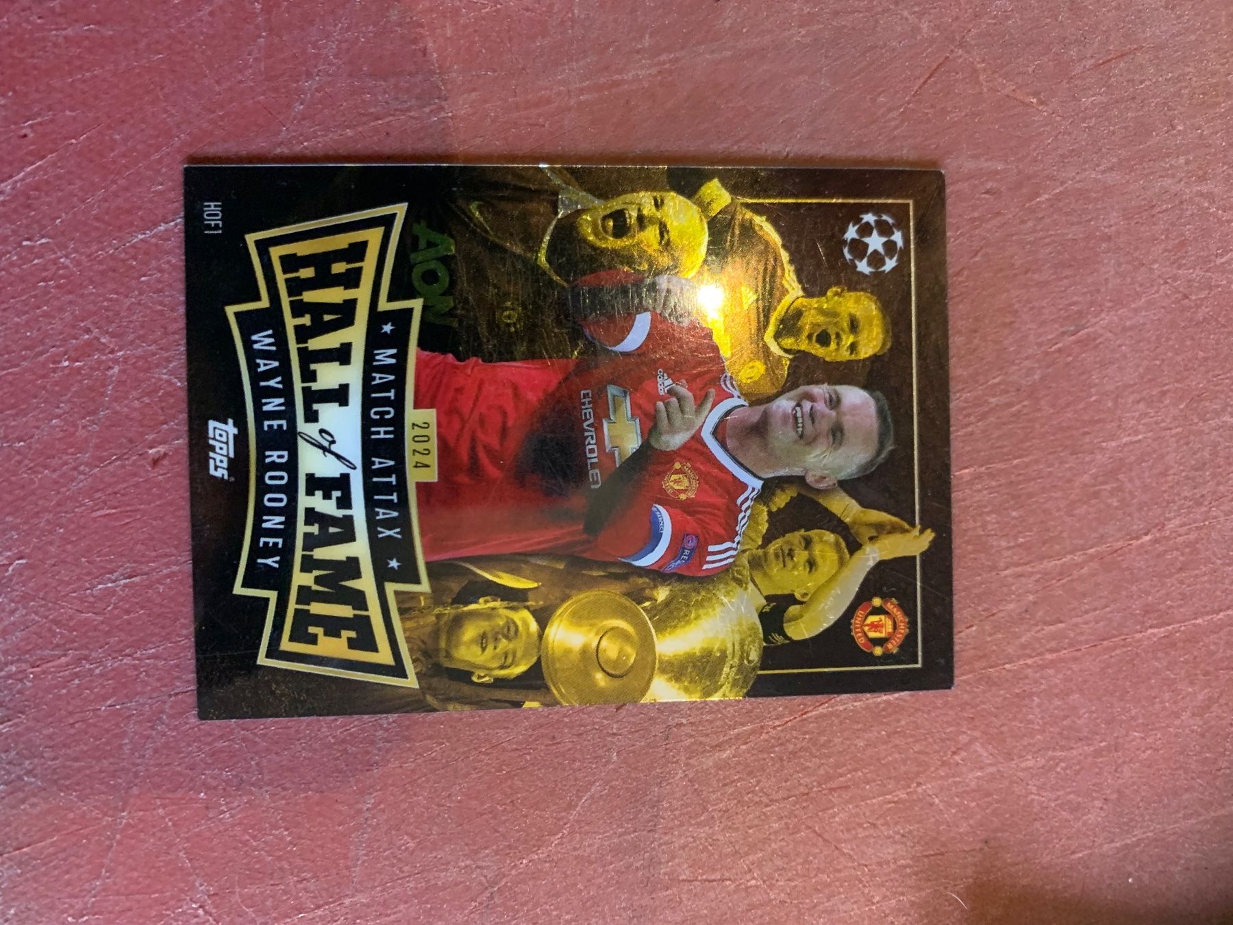 Panini Carte collezionabili: Fussball Karten zum Sammeln – Usato da Gontenschwil venduto da Jeepli1970 1