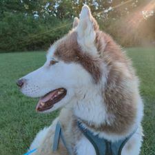 Profile image of WAleksandra