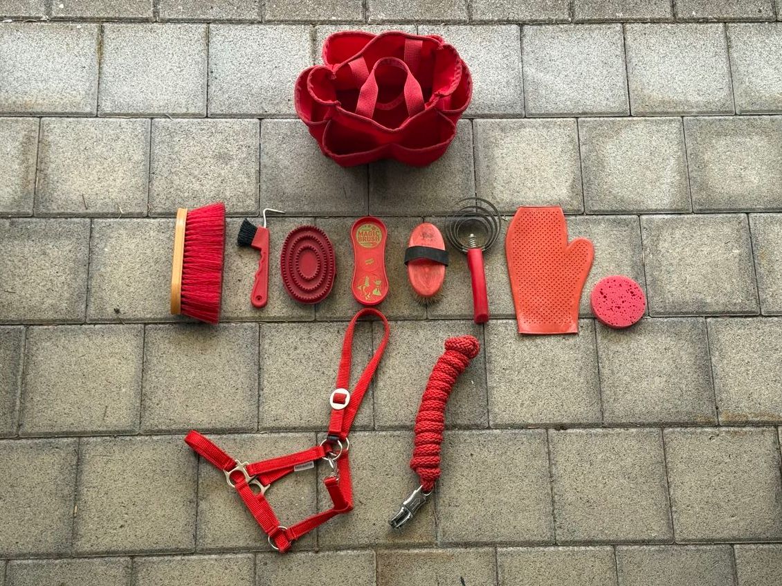Altro per la casa: Putzset für Pony/Shetty – Usato da Beckenried venduto da car_7d2w