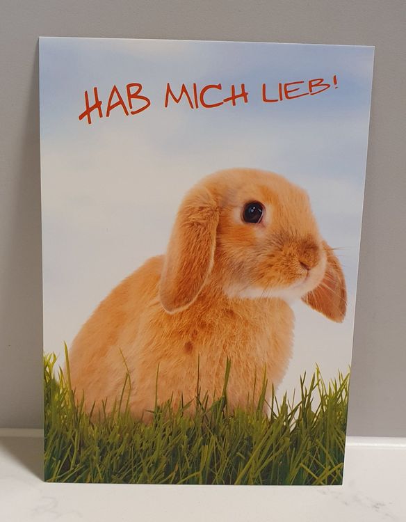 SpruchPostkarte "Hab mich lieb" Kaufen auf Ricardo