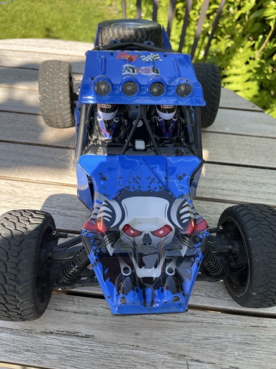 Reely Modellismo RC: RC Auto (Bugy) – Usato da Adligenswil venduto da Freemartin
