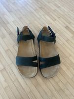 El naturalista Sandalen 