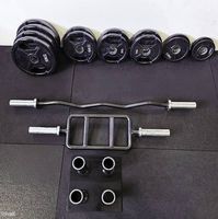 Hantelscheiben 80 kg & SZ Stange & Hammerbar & Ständer