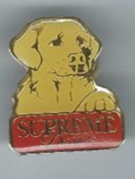 Hund , Pin