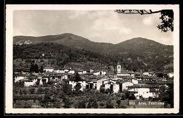 AK Arzo, Panorama