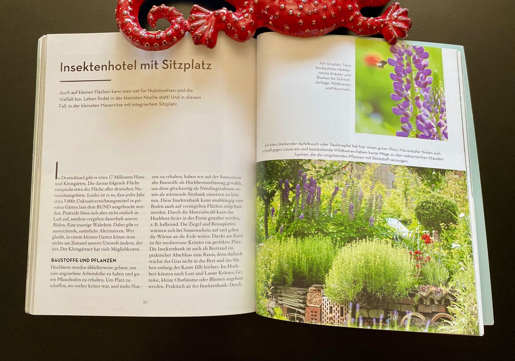 Bücher: KEIN PLATZ UND TROTZDEM GARTEN – Gebraucht aus Nussbaumen AG von schuba2000 3