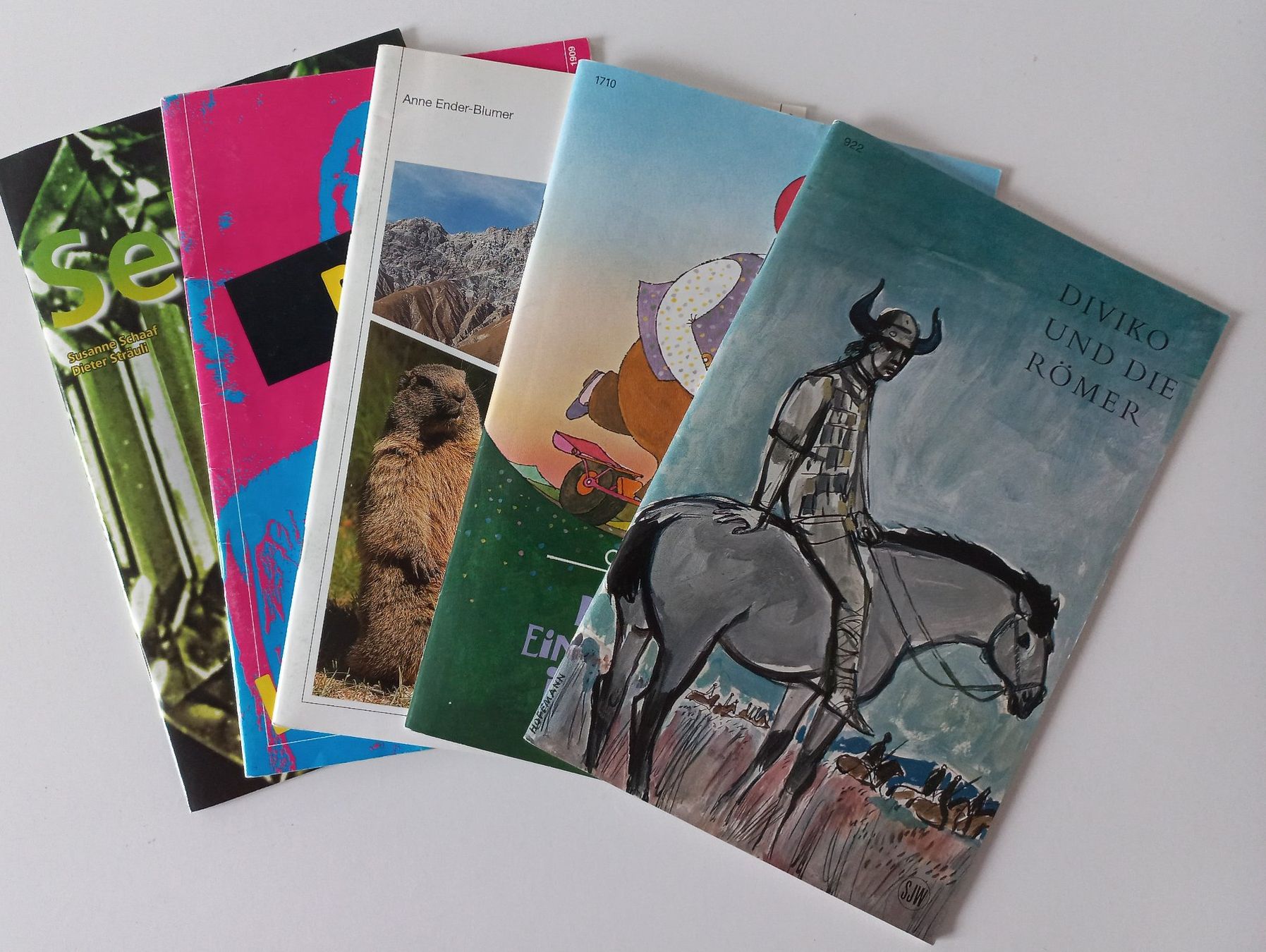 Libri: Sammlung von 5 verschiedenen SJW-Heften – Usato da Wettingen venduto da tonia3
