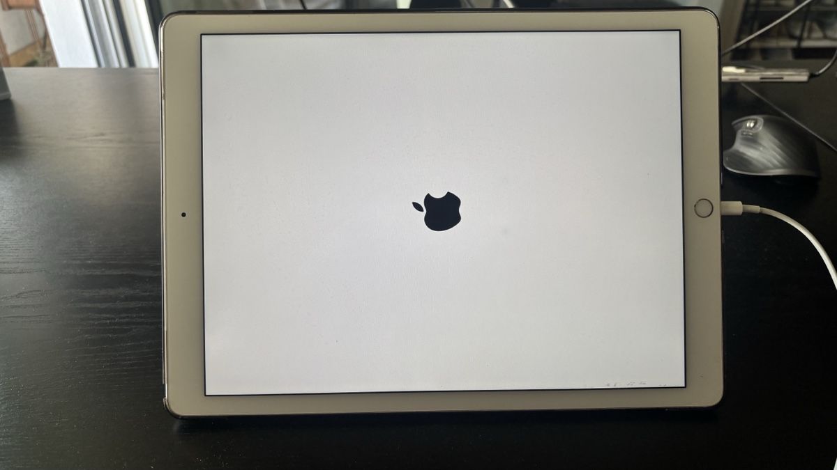 Apple Tablettes PC: Apple iPad Pro 1st Gen Gold – D'occasion à Zürich par sergigomez