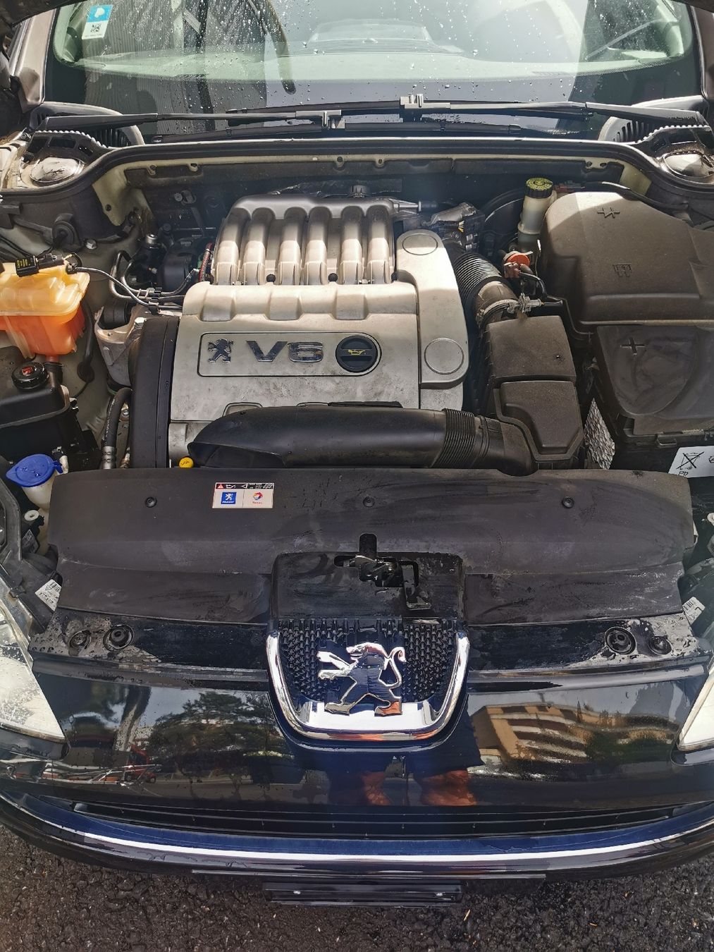 Peugeot Automobili: Peugeot 407 – Difettoso da Münsingen venduto da Bingo1960 2