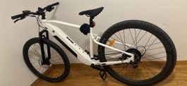 E-Bike Mountainbike