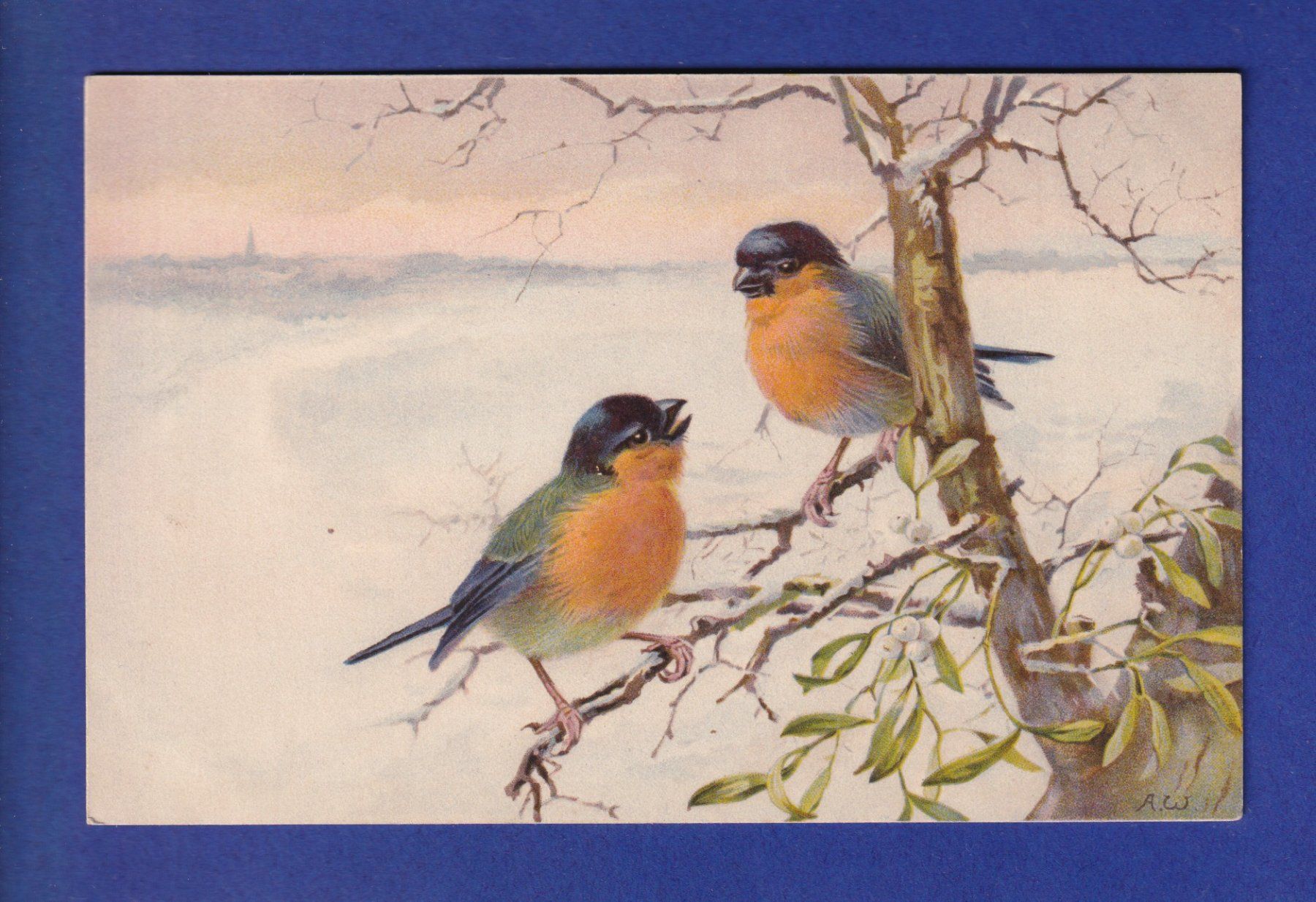Ansichtskarten: OISEAU - Rouges-Gorges – Gebraucht aus Pully von nicecards-shop