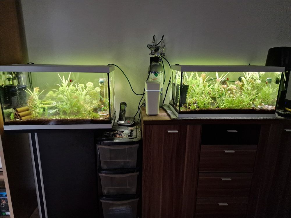 Aquarium-Hintergrund Aus Vinyl – 76,2x45,7 Cm, HD-Druck, Wasserfest & Wiederverwendbar