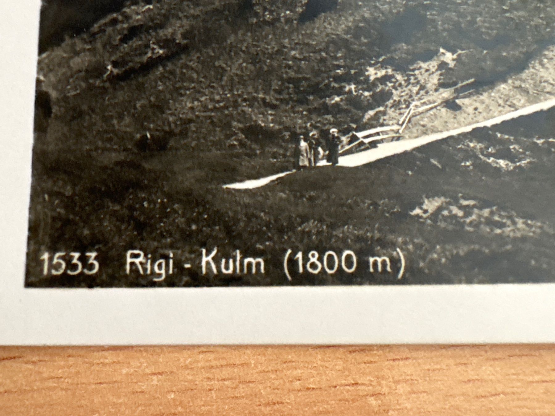 Cartoline postali: Alte Ansichtskarte Rigi-Kulm, Top! – Usato da Ibach venduto da lisch3 1