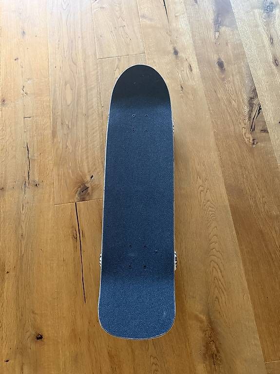 Skateboards: cruising Skateboard – Nuovo (secondo la descrizione) da Römerswil LU venduto da MDegen 2