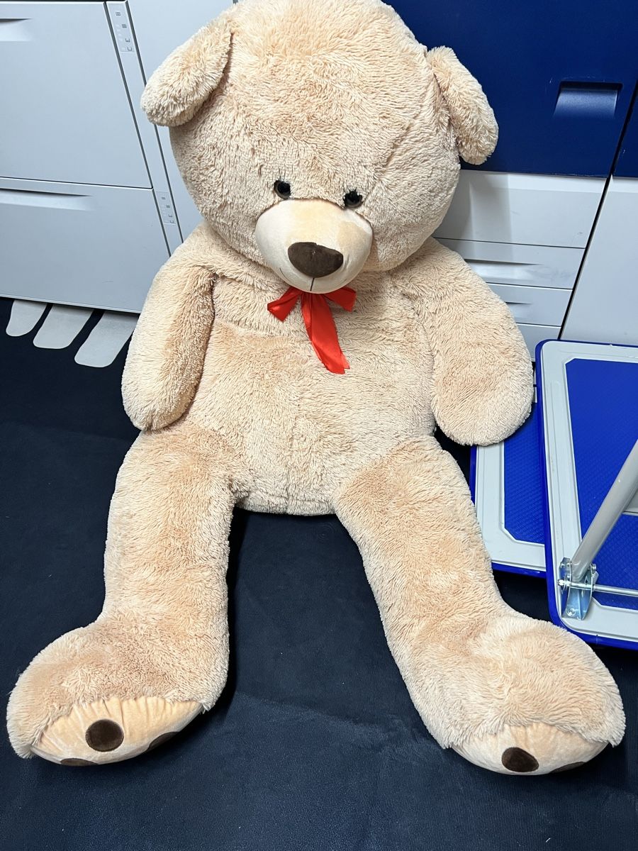 Giocattoli: Teddybär – Nuovo (secondo la descrizione) da Embrach venduto da shq_pm2g