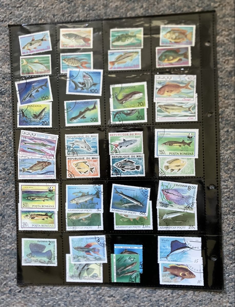 Tutti i francobolli: Briefmarkensammlung mit Fischen – Usato da Lyss venduto da Punktum01