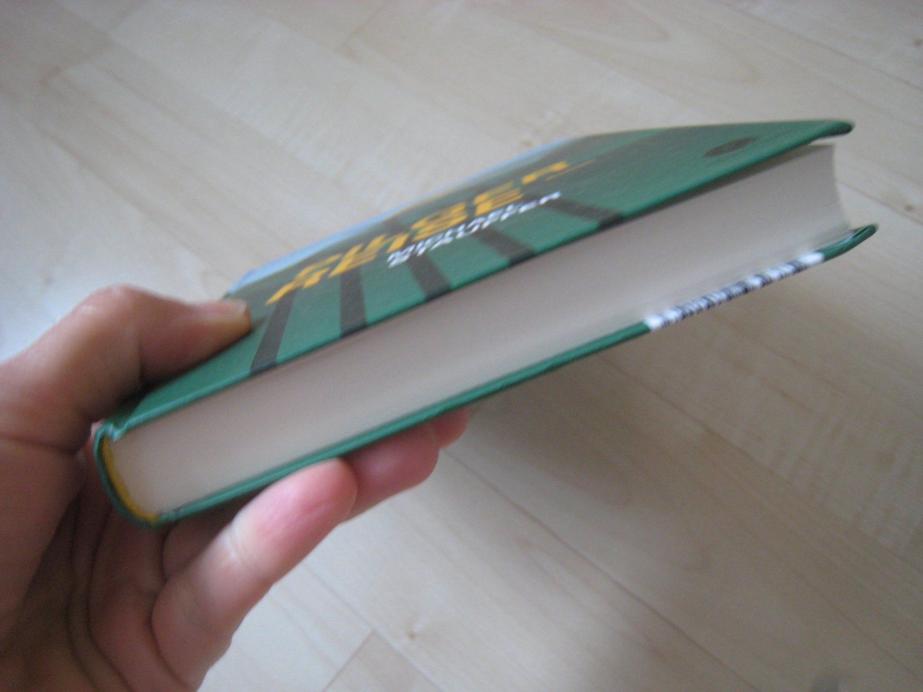 Libri: Michael Stauffer Pilgerreise Roman     mit CD – Usato da Dättlikon venduto da Mamakuga 8