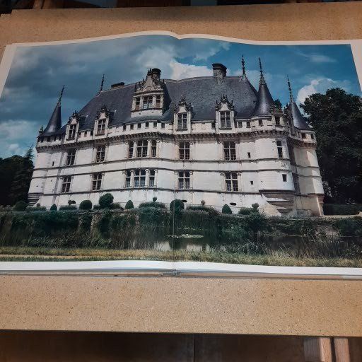 Libri: Buch, Le Chateau de la Loire – Usato da Kilchberg ZH venduto da Ernzi47 5