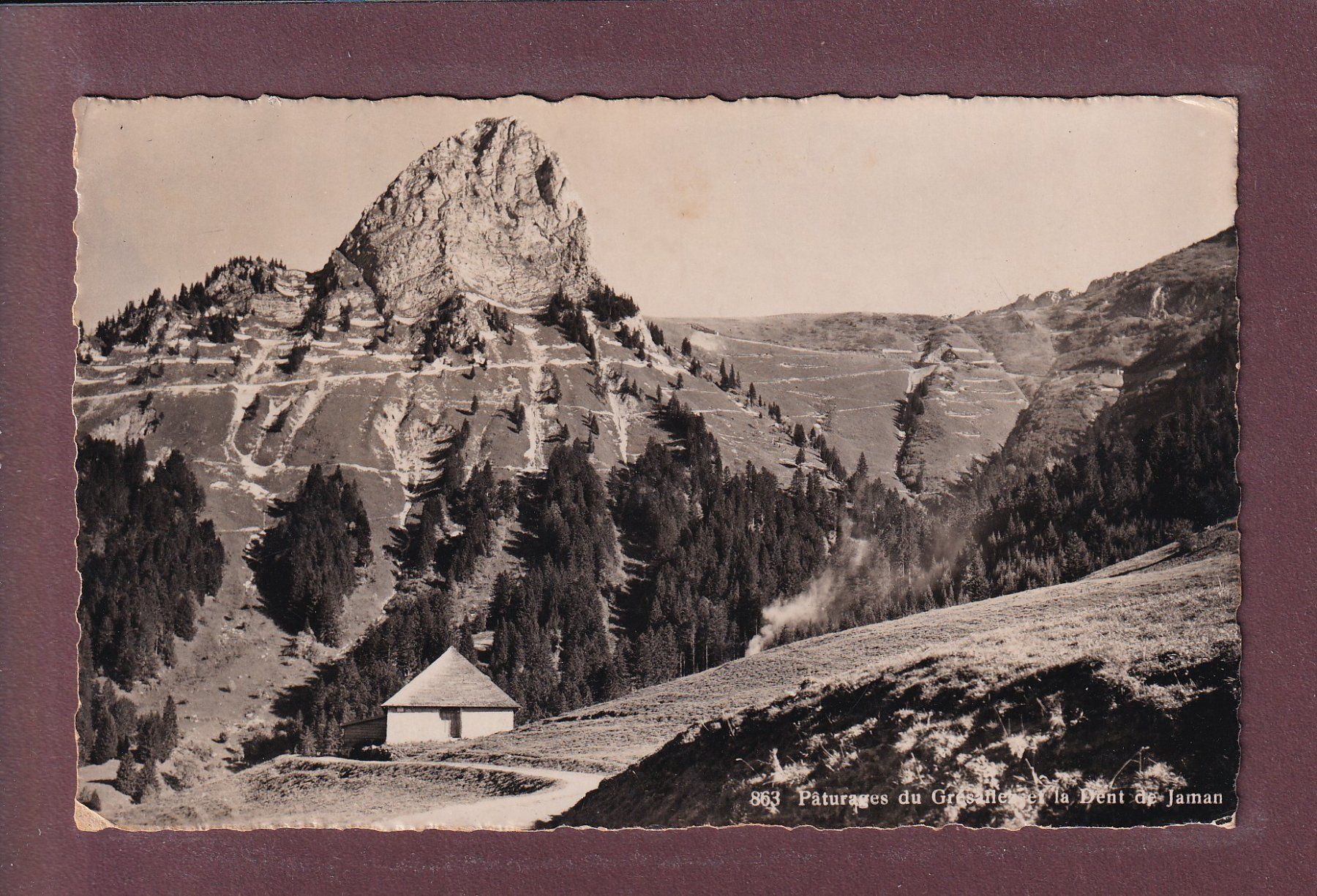 Cartoline postali: Pâturages du GRESALLEZ - Dent de Jaman - 1936 – Usato da Pully venduto da nicecards