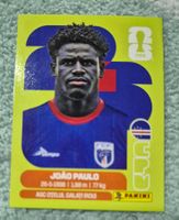 CPV 8 Panini FIFA WM 2026
