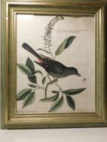 Kunst Stich antiker handcolorierter Stich