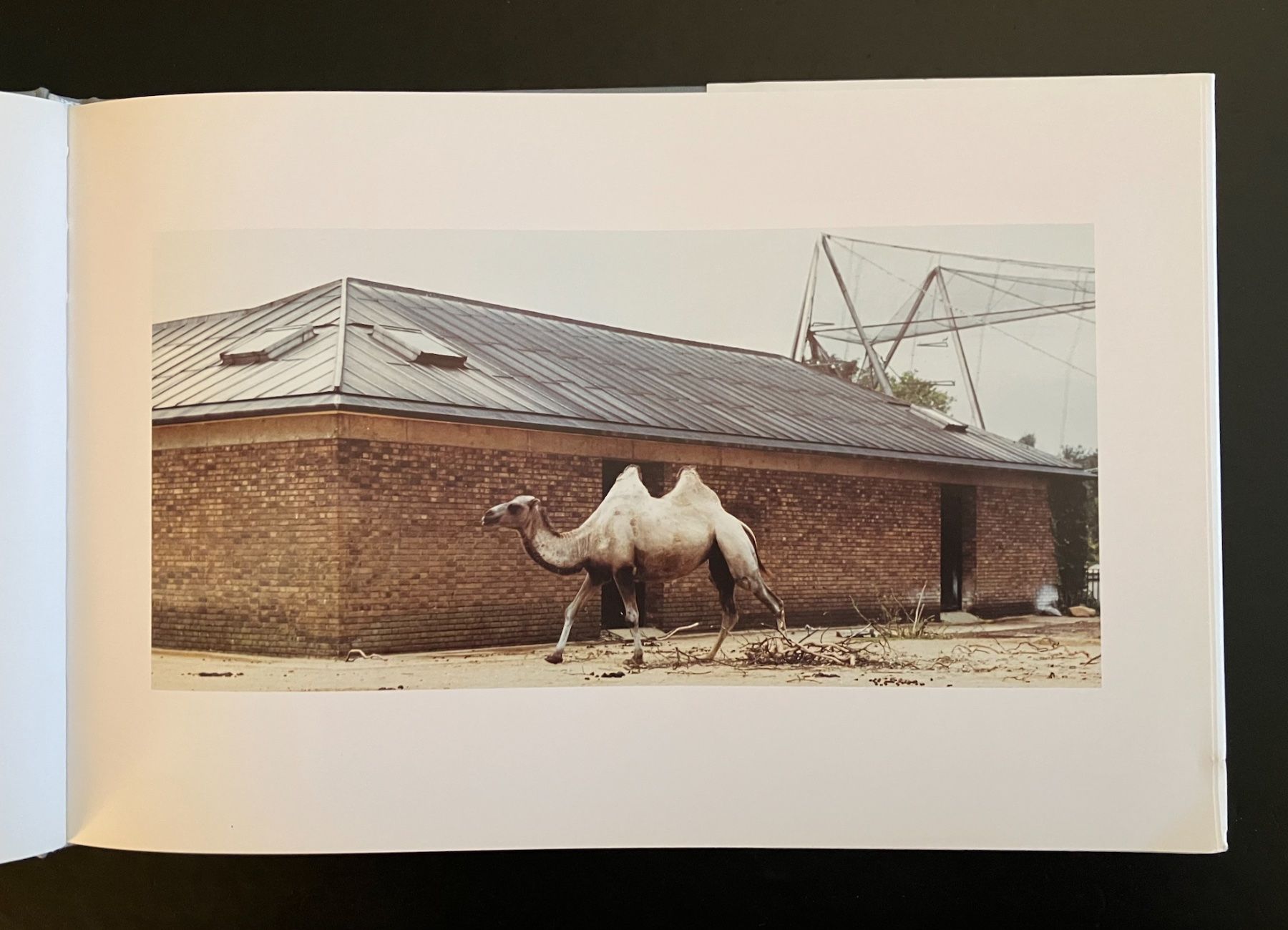 Libri: candida höfer . zoologische gärten – Usato da Basel venduto da cosmos.books 5
