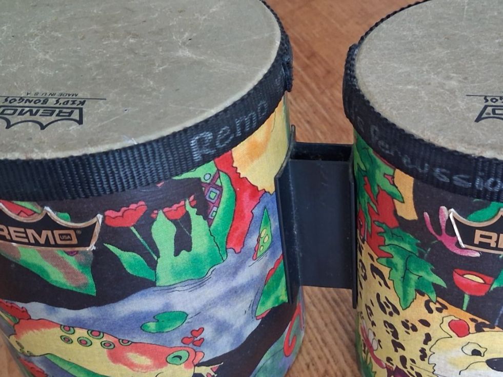 Musikinstrumente: BONGO - KIND - Musikinstrument Marke REMO – Gebraucht aus Luzern von miocarobabbonetoscan