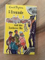 Buch, 5 Freunde