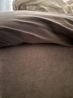 Boxspringbett  