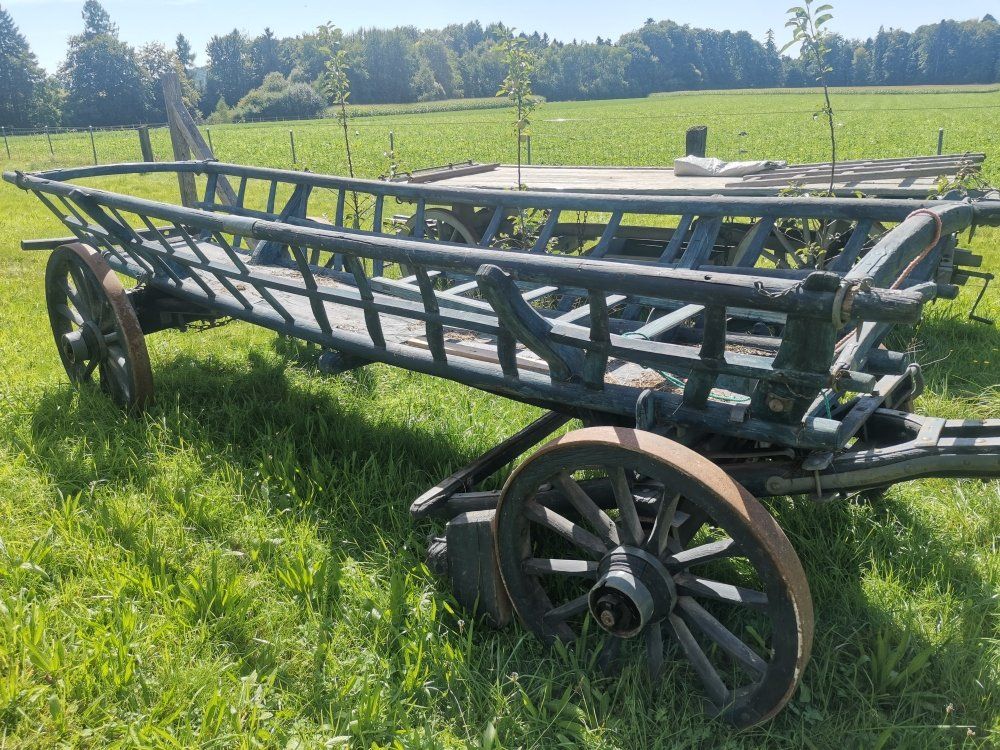 Rimorchi: Leiterwagen antik mit Zugstange – Usato da Gächliwil venduto da Arm_Evo 2