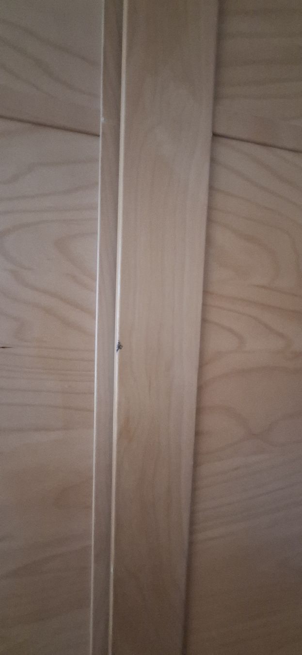 Ikea Porte: Schwebetüren ikea pax – Usato da Riehen venduto da 061babs 1