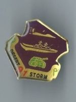 Desert Storm Pin