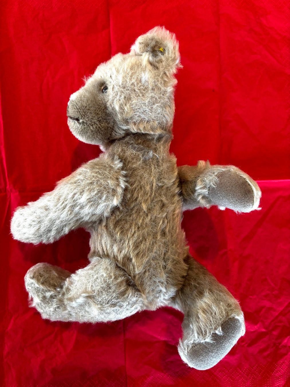 Steiff Jouets: Teddybär «STEIFF» – D'occasion à Büetigen par castellino 4