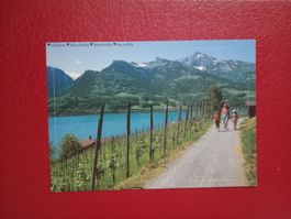 AK Abziehbild Partie am Walensee