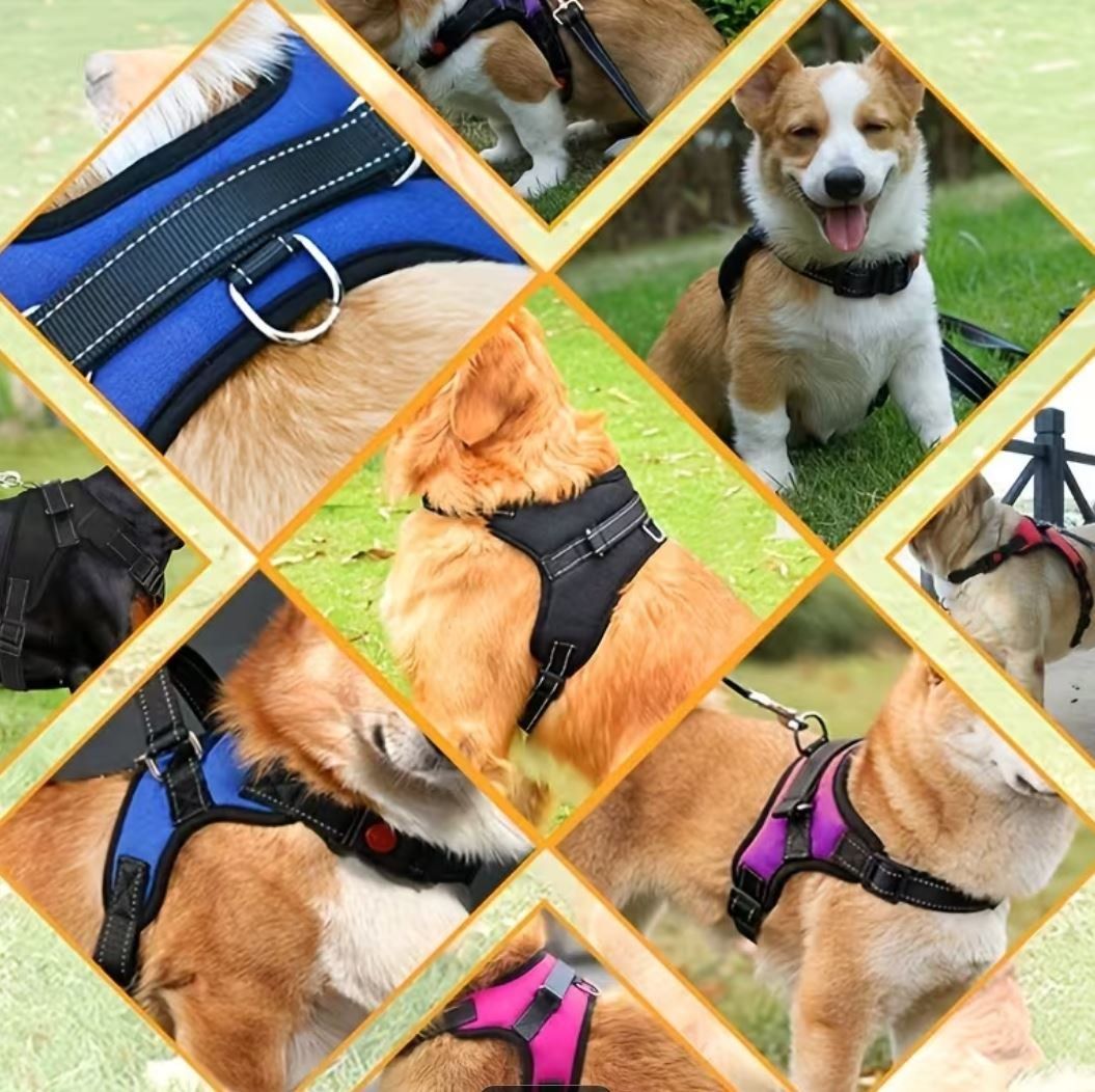 Guinzagli & Collari: Hundegeschirr schwarz Gr. L oder XL – Nuovo e nell'imballaggio originale da Langenbruck venduto da Gumsi 1