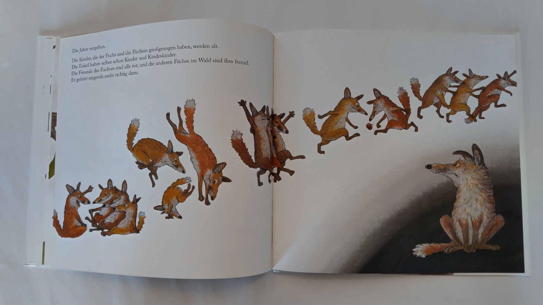Libri: Kathrin Schärer - Der Tod auf dem Apfelbaum / Bilderbuch – Usato da Bellach venduto da JingleJerry 7
