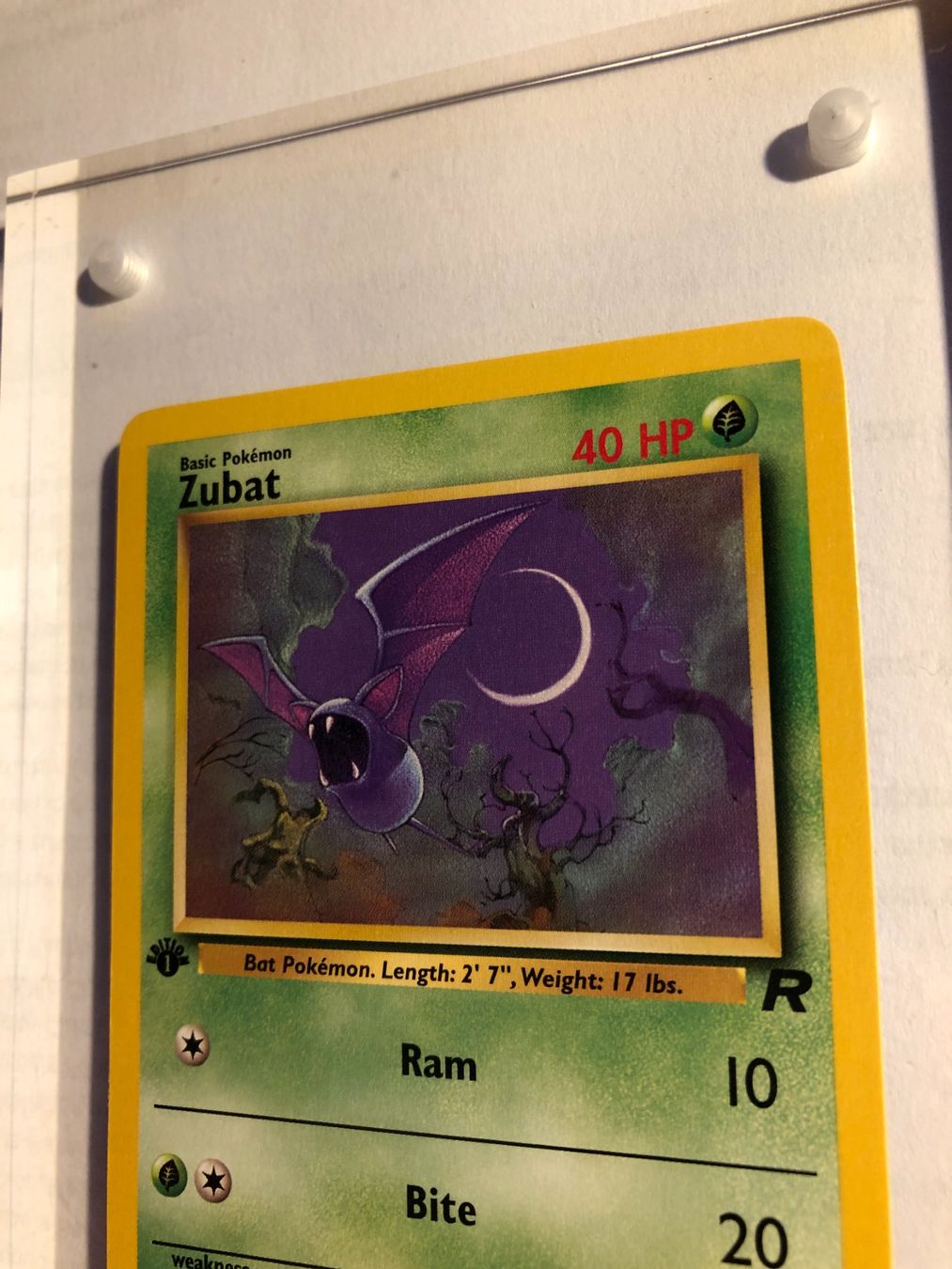 Carte collezionabili: Zubat 1st Team Rocket - MINT - ab 1.- – Usato da Giubiasco venduto da dan_pr8b 3