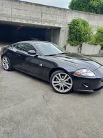 Sehr schöner Jaguar XK