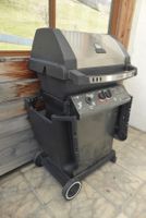 Grosser Garten Gasgrill - König Crown mit Zubehör
