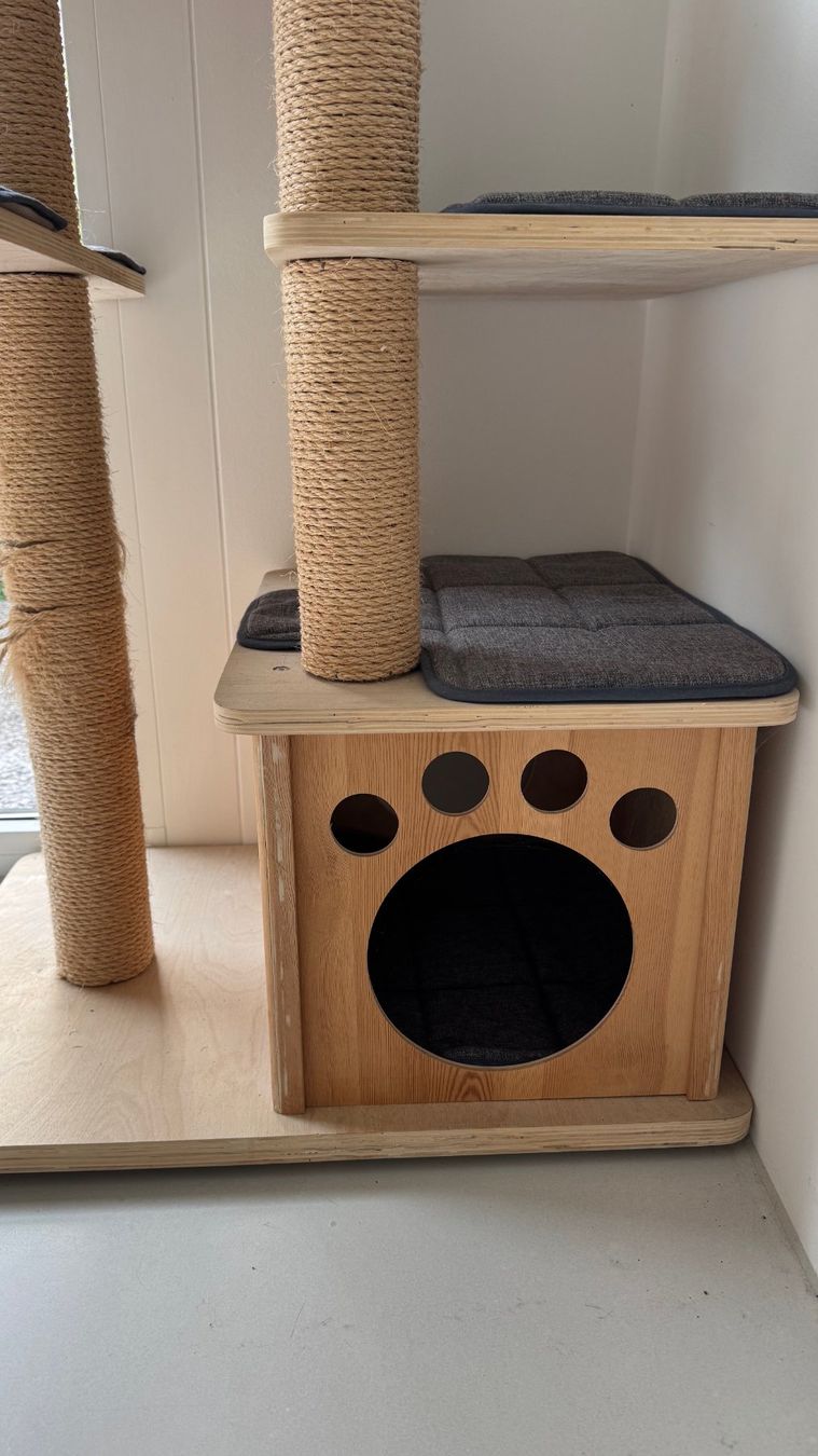 strayz nassfutter Bio Katzenfutter Soßen-Menü | Probierpaket main image 1