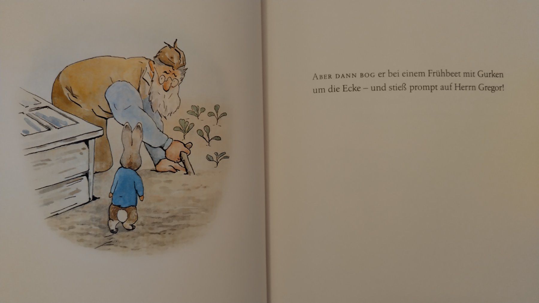 Libri: Die Geschichte von Peter Hase / Beatrix Potter / Bilderbuch – Usato da Bellach venduto da JingleJerry 6