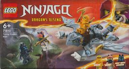 LEGO NINJAGO 71810 YOUNG DRAGON RIYU new