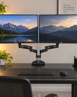 Arctic Monitorhalterung dual mit USB Hub schwarz