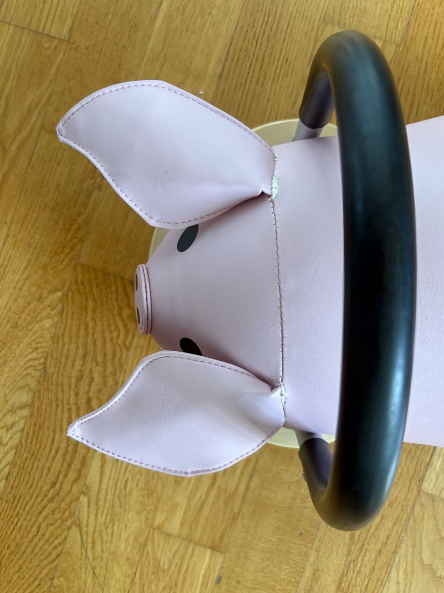 Veicoli per bambini: Wheely Bug Schweinchen – Usato da Wallisellen venduto da fab_kll7 1