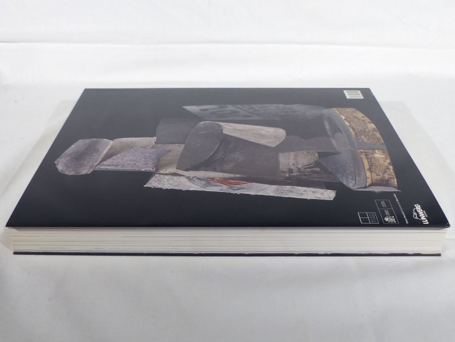 Libri: Pablo Picasso (Kunstband/Katalog) – Nuovo (secondo la descrizione) da Zürich venduto da botschinski 4