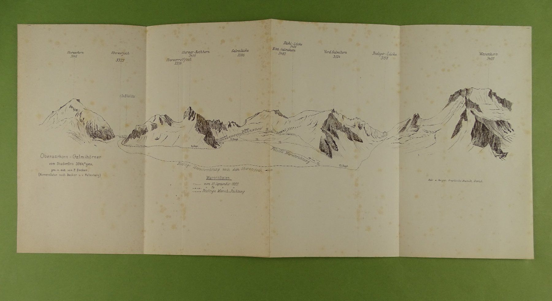 Landkarten & Atlanten: PANORAMA OBERAARHORN GALMIHÖRNER 1884 – Gebraucht aus Grüningen von Kartensammler