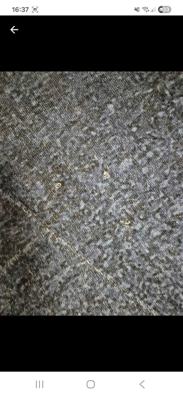 Tappeti: Blauer Teppich, Frühlings-Deal! – Usato da Zürich venduto da Drago670 3