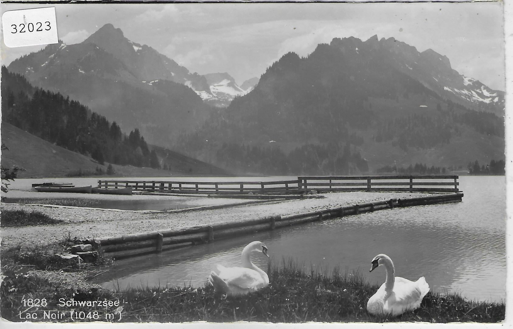 Cartoline postali: Lac Noir - Schwarzsee mit Schwäne – Usato da Ettingen venduto da Kartenplanet