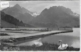 Lac Noir - Schwarzsee mit Schwäne